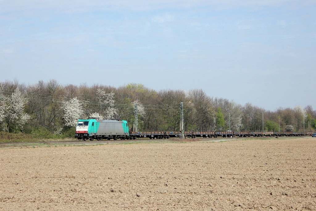 CFL Cargo 186 247-3 in Vilich-M�ldorf am 3.4.2012