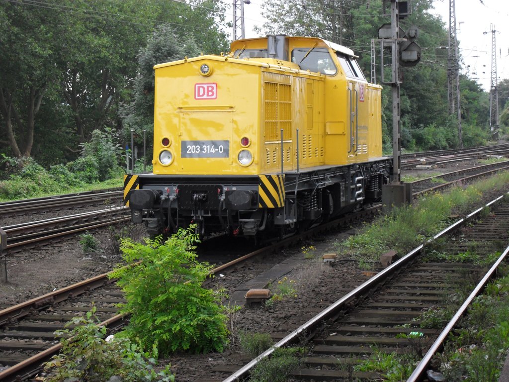 DB Instandhaltung 203 314-0 in Osnabr�ck am 19.9.10