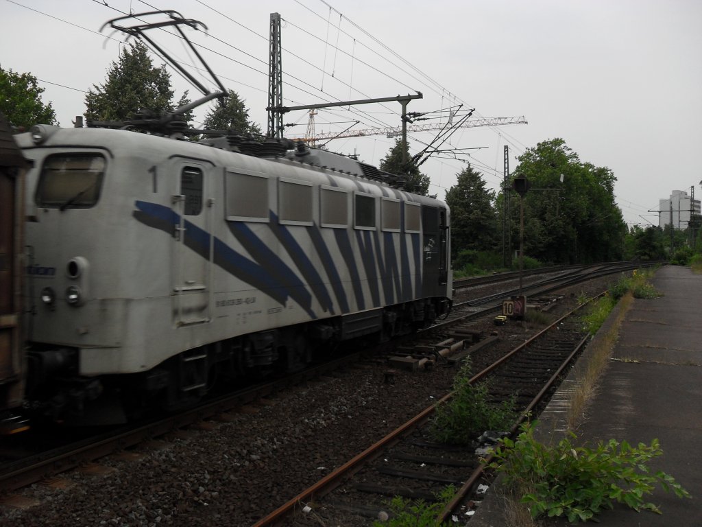 Die R�ckseite vom Zebra Br 139 von der Lokomotion am 1.7.10