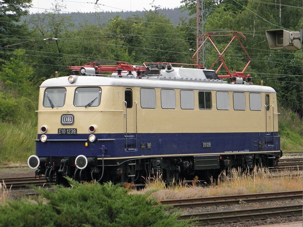 E10 1239 in Altenbeken am 2.7.2011. Gru� an das Team Br 103 EV.
