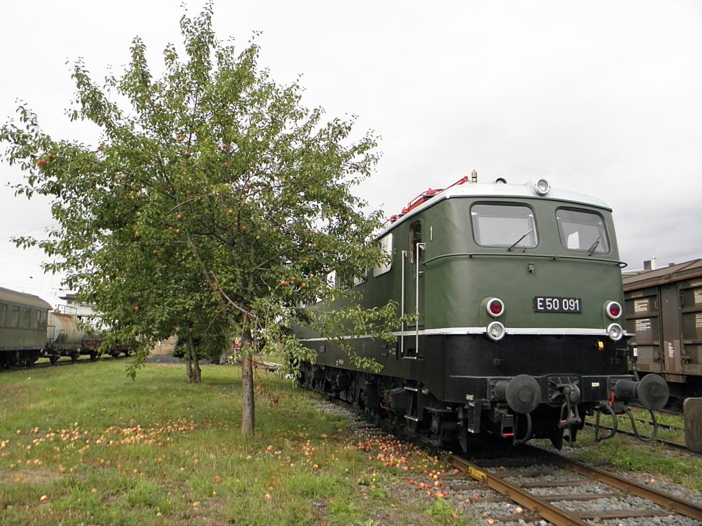 E50 091 im DB Museum Koblenz am 17.9.2011