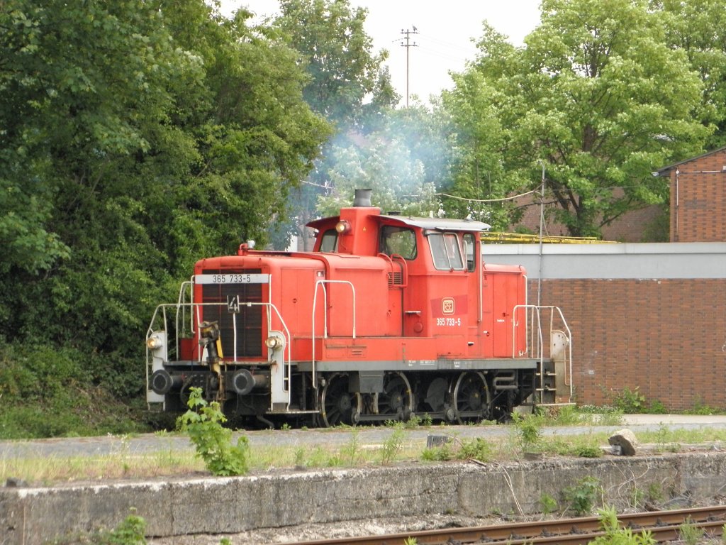 RSE 365 733-5 in Beuel am 27.5.2011